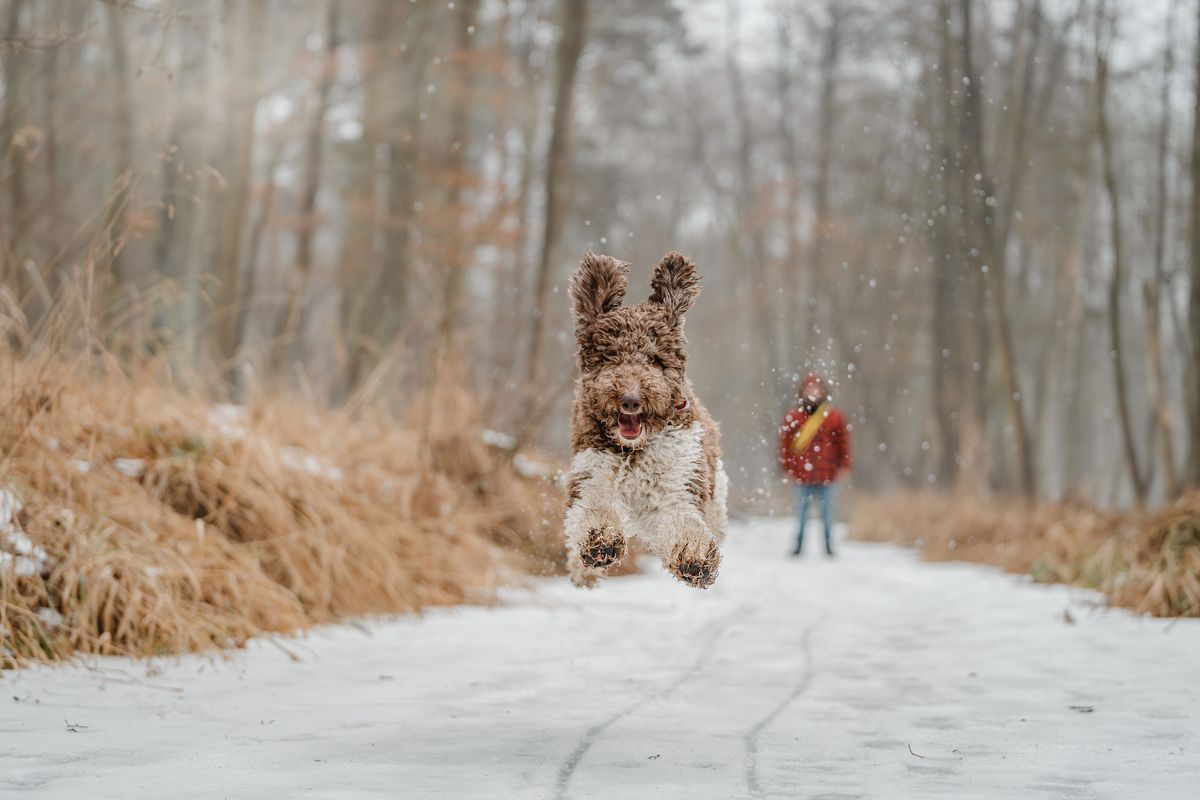 Kind und Hund im Schnee