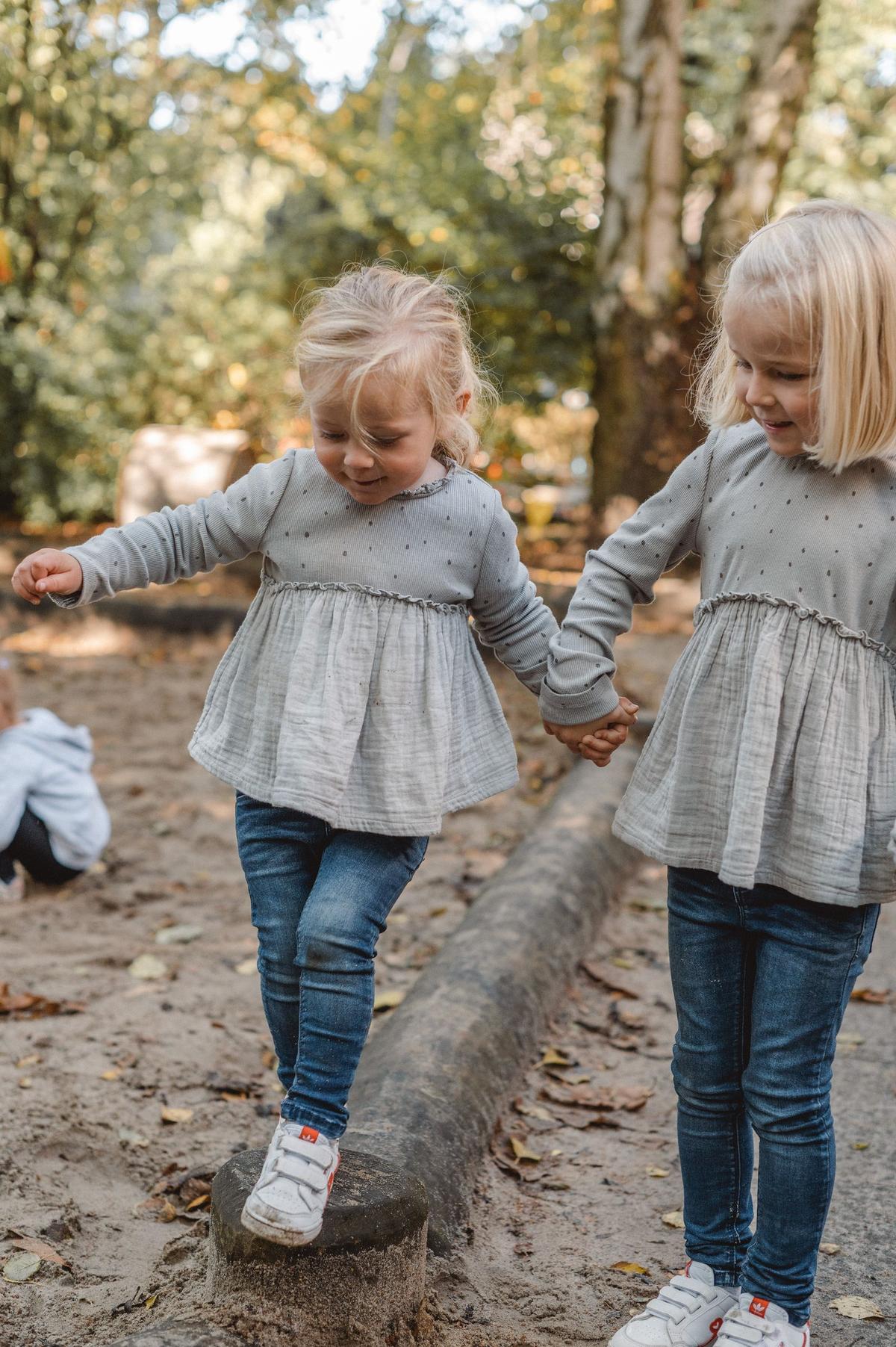 Seebären auf Baumstamm